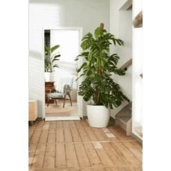 Bloempot Elho Brussels Rond 35cm - Met Wielen - Wit -Elho Verkoop bloempot elho brussels rond 35cm met wielen wit bloempot wit 6 1