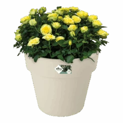 Bloempot Elho Green Basics Top Planter 47cm - Katoen Wit -Elho Verkoop bloempot elho green basics top planter katoen wit bloempot katoen wit 3 1