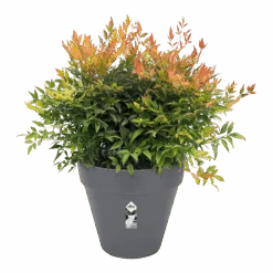 Bloempot Elho Loft Urban Rond 60cm - Antraciet -Elho Verkoop bloempot elho loft urban rond antraciet bloempot antraciet 3 2