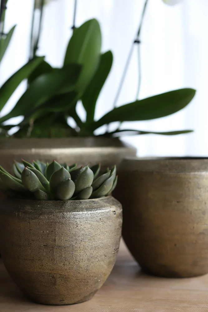 Bloempot Kos - D30 X H27cm - Goud 2 Bloempot Kos - D30 X H27cm - Goud - Afbeelding 2