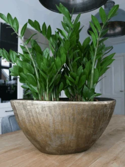 Bloempot Kos Ovaal - L35 X B16 X H19cm - Goud -Elho Verkoop bloempot kos ovaal goud bloempot 2 1 2