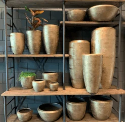 Bloempot Kos - D30 X H27cm - Goud 5 Bloempot Kos - D30 X H27cm - Goud -Elho Verkoop bloempot kos serie goud bloempot 3 1 1