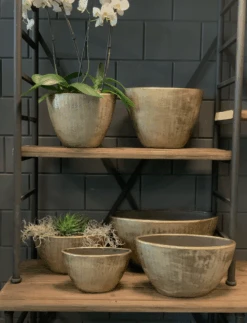 Bloempot Kos Ovaal - L35 X B16 X H19cm - Goud -Elho Verkoop bloempot kos serie ovaal goud bloempot 3 1 2