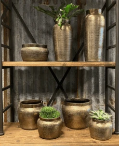 Bloempot Marrakesh - D21 X H17cm - Zilver Goud 5 Bloempot Marrakesh - D21 X H17cm - Zilver Goud -Elho Verkoop bloempot marrakesh serie 3 1 1