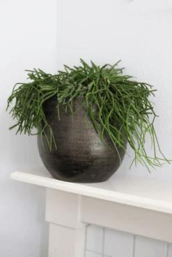 Bloempot Tokio - D28 X H26cm - Goud -Elho Verkoop bloempot tokio goud bloempot 2 1