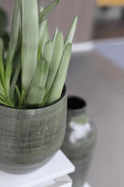 Voorkant -Elho Verkoop bloempot tokio klein groen bloempot 2 1