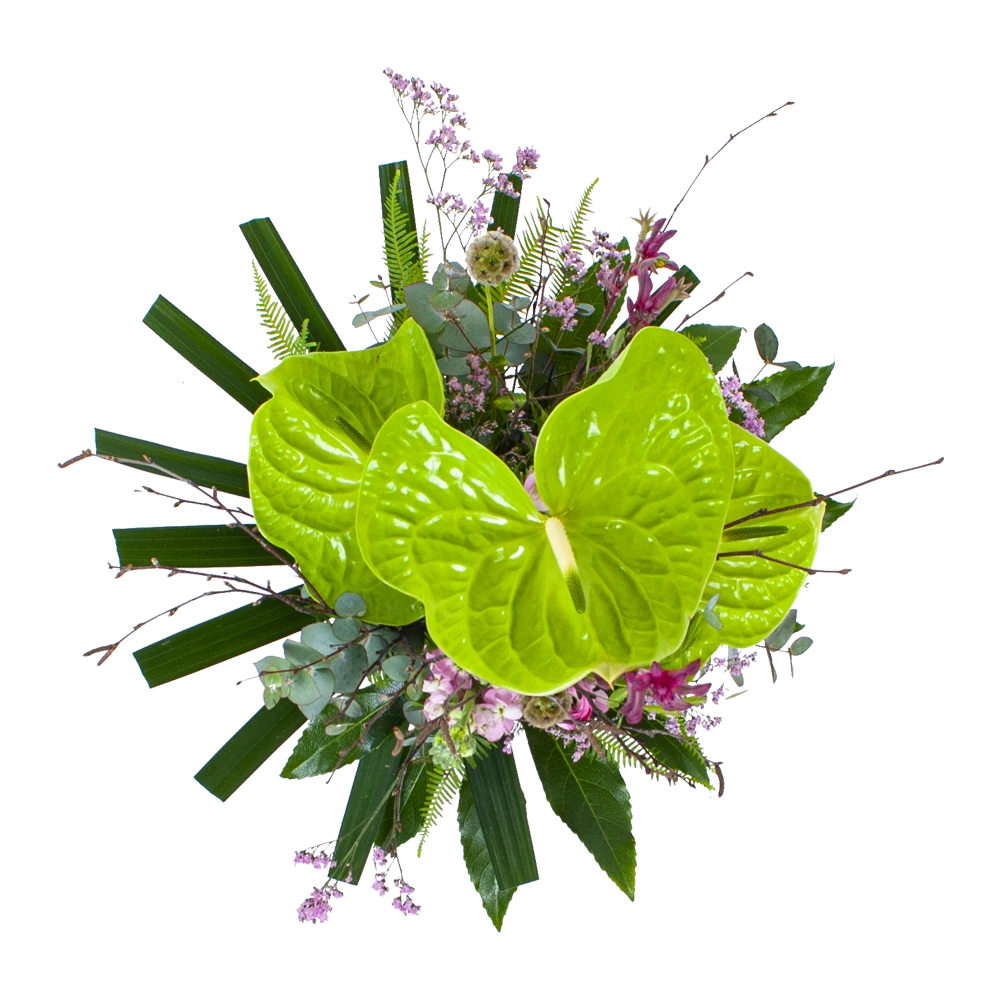 Boeket Anthurium Middel 2 Boeket Anthurium Middel - Afbeelding 2