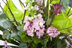 Boeket Anthurium Middel 8 Boeket Anthurium Middel -Elho Verkoop boeket anthurium boeketten 3 1