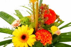 Boeket Beatrix Groot -Elho Verkoop boeket beatrix boeketten 4 3