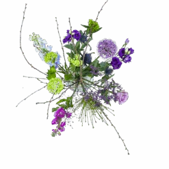 Boeket Biezen Middel