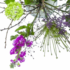 Bestsellers -Elho Verkoop boeket biezen boeketten 3