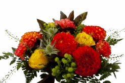 Boeket Dahlia Middel -Elho Verkoop boeket dahlia boeketten 3 3