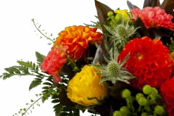 Boeket Dahlia Middel -Elho Verkoop boeket dahlia boeketten 4 3