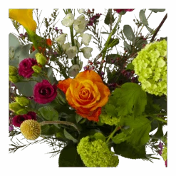 Boeket De Lente Groot 8 Boeket De Lente Groot -Elho Verkoop boeket de lente boeketten 3 1