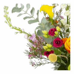 Boeket De Lente Groot 9 Boeket De Lente Groot -Elho Verkoop boeket de lente boeketten 4 1