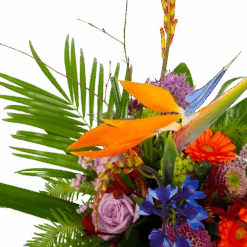 Boeket Deluxe Special Voor Jou Middel -Elho Verkoop boeket deluxe special voor jou boeketten 3 2