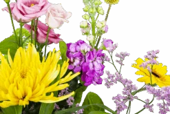 Boeket Eline Klein -Elho Verkoop boeket eline boeketten 3