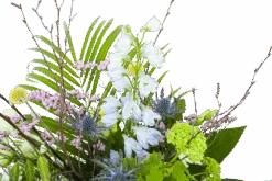 Boeket Erica Klein -Elho Verkoop boeket erica boeketten 3