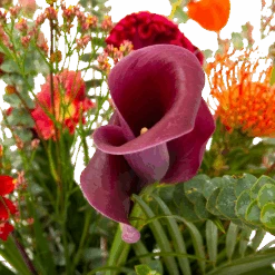 Boeket Herfst Warmte Groot -Elho Verkoop boeket herfst warmte groot boeketten 4