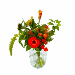 Boeket Herfst Uit Het Veld Klein