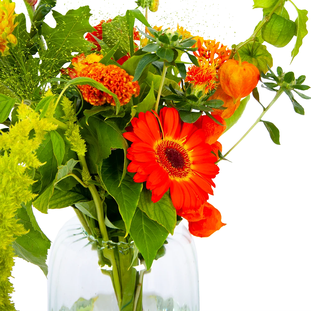 Boeket Herfst Uit Het Veld Middel 3 Boeket Herfst Uit Het Veld Middel - Afbeelding 3