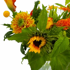 Boeket Herfst Uit Het Veld Middel 9 Boeket Herfst Uit Het Veld Middel -Elho Verkoop boeket herst uit het veld middel boeketten 4 1