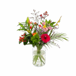 Boeket Kleurrijk Geplukt Middel