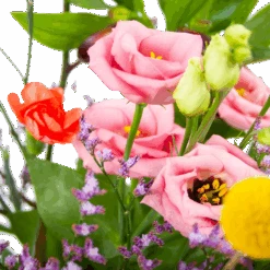 Boeket Kleurrijk Geplukt Middel -Elho Verkoop boeket kleurrijk geplukt boeketten 3 2