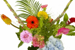 Boeket Lach Klein 8 Boeket Lach Klein -Elho Verkoop boeket lach boeketten 3 1