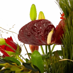 Boeket Liefdevolle Kerst Klein -Elho Verkoop boeket liefdevolle kerst boeketten 4 1