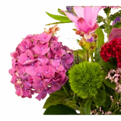 Boeket Paarse Passie Klein 8 Boeket Paarse Passie Klein -Elho Verkoop boeket paarse passie klein boeketten 3