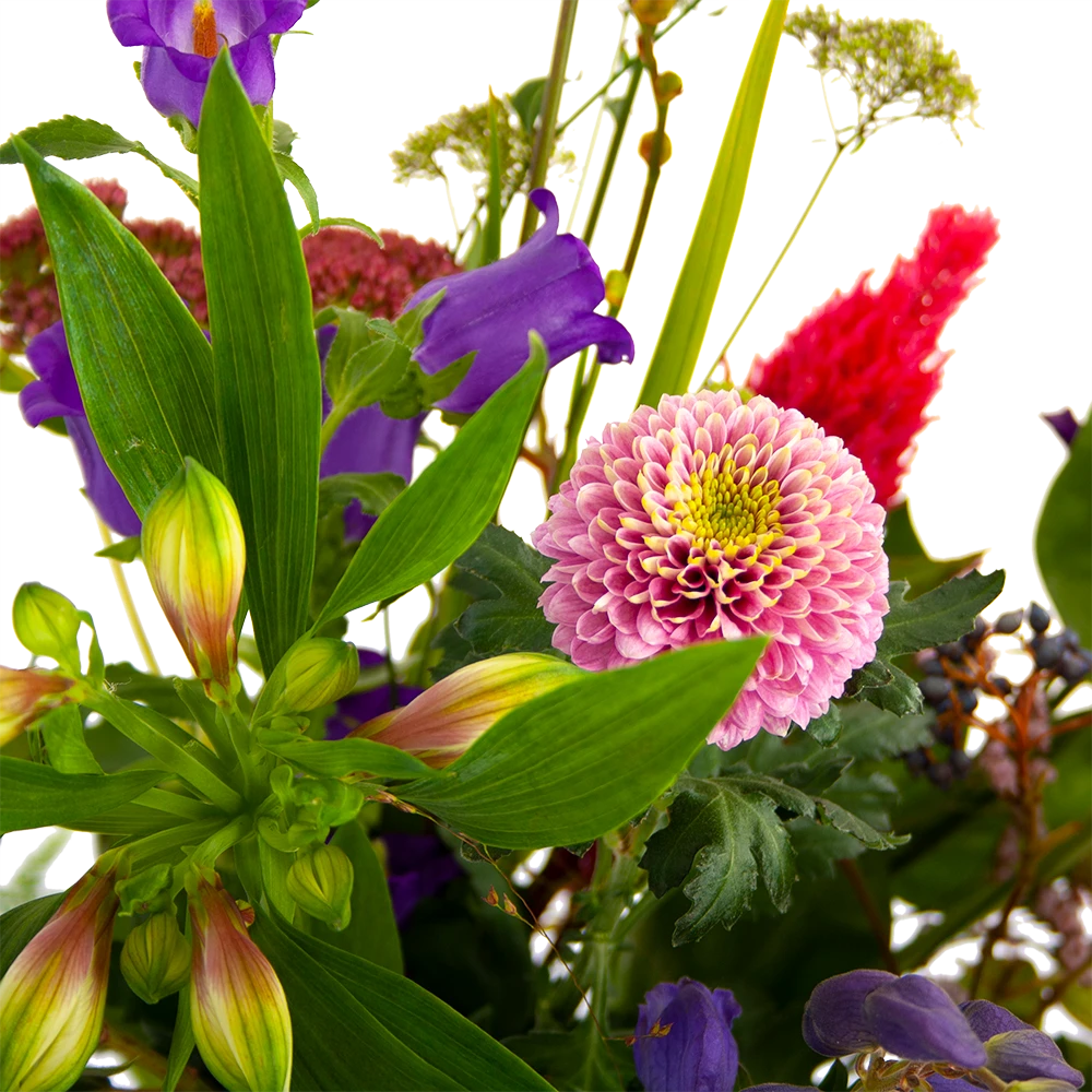 Boeket Paarse Passie Klein 4 Boeket Paarse Passie Klein - Afbeelding 4