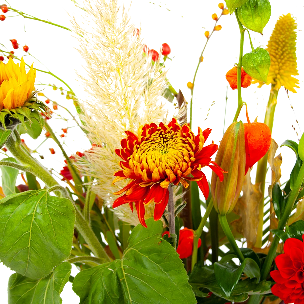 Boeket Pluim Van Het Najaar Groot 4 Boeket Pluim Van Het Najaar Groot - Afbeelding 4