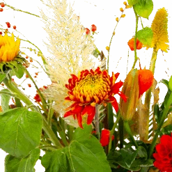 Boeket Pluim Van Het Najaar Klein -Elho Verkoop boeket pluim van het najaar klein boeketten 4