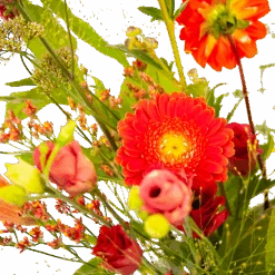 Boeket Plukgeluk Middel -Elho Verkoop boeket plukgeluk middel boeketten 3