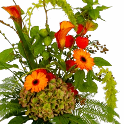 Boeket Pracht Van De Herfst Klein 7 Boeket Pracht Van De Herfst Klein -Elho Verkoop boeket pracht van de herfst klein boeketten 3 1