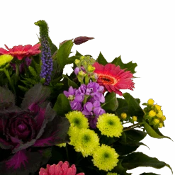 Boeket Purple Klein -Elho Verkoop boeket purple klein boeketten 4 1