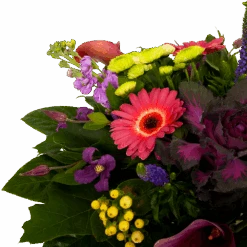 Boeket Purple Middel -Elho Verkoop boeket purple middel boeketten 3 1