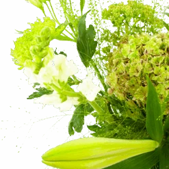 Boeket Puur Natuur Middel -Elho Verkoop boeket puur natuur boeketten 3 1