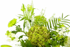 Boeket Puur Natuur Klein -Elho Verkoop boeket puur natuur boeketten 4 1 1