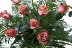 Boeket Rosa Roze Middel -Elho Verkoop boeket rosa roze boeketten 3 2