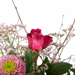 Boeket Roze Verrassing Groot 7 Boeket Roze Verrassing Groot -Elho Verkoop boeket roze verrassing boeketten 3