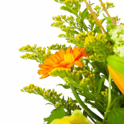 Boeket Seizoensgebonden Klein -Elho Verkoop boeket seizoensgebonden boeketten 3 2