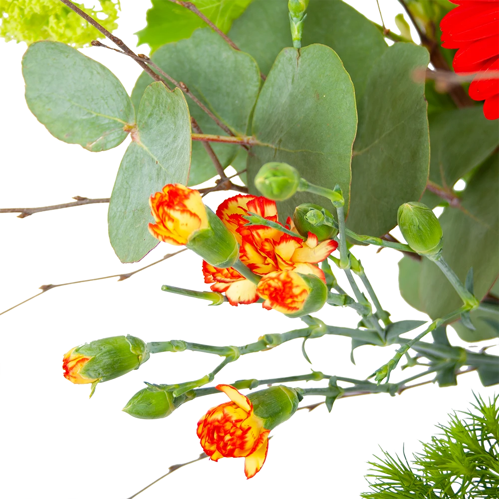 Boeket Speciale Verrassing Klein 2 Boeket Speciale Verrassing Klein - Afbeelding 2