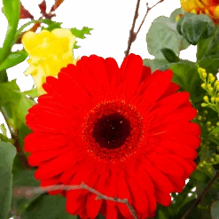 Boeket Speciale Verrassing Middel 7 Boeket Speciale Verrassing Middel -Elho Verkoop boeket speciale verrassing boeketten 3