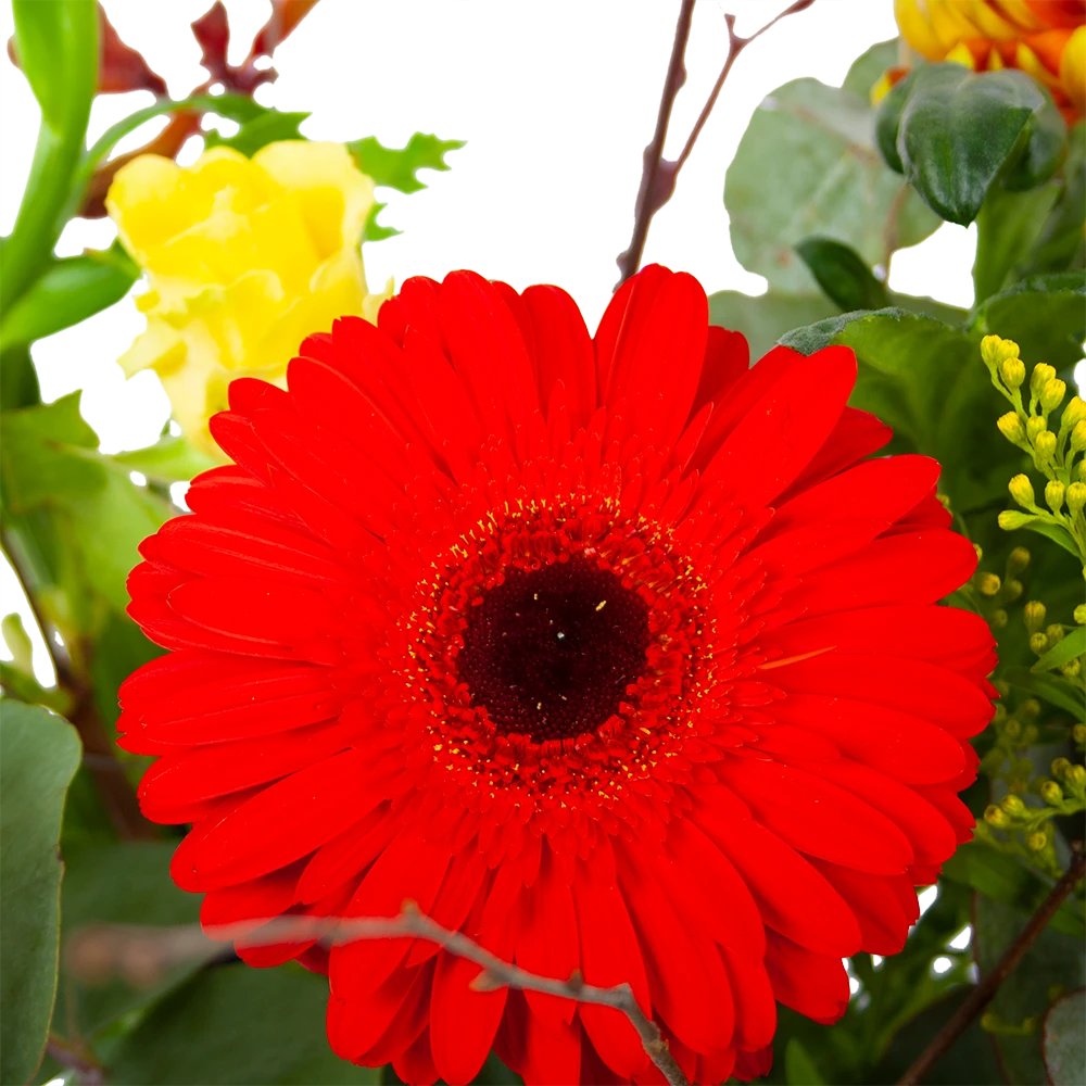 Boeket Speciale Verrassing Middel 3 Boeket Speciale Verrassing Middel - Afbeelding 3