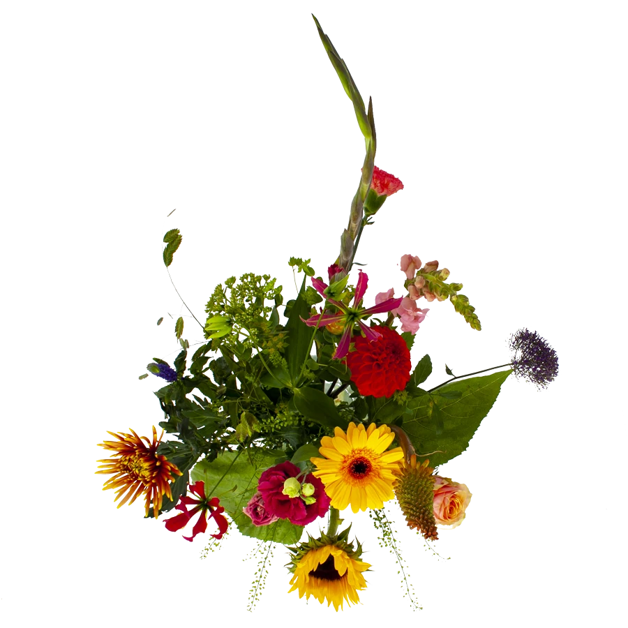 Boeket Vlinder Middel 2 Boeket Vlinder Middel - Afbeelding 2