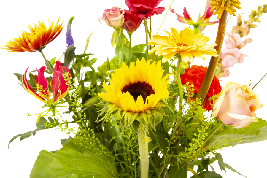 Boeket Vlinder Groot 3 Boeket Vlinder Groot - Afbeelding 3