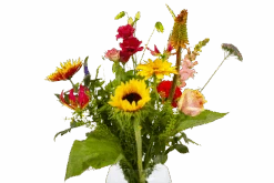 Boeket Vlinder Groot 9 Boeket Vlinder Groot -Elho Verkoop boeket vlinder boeketten 4 3 2