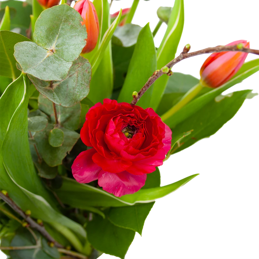 Boeket Vrolijk Roze Groot 2 Boeket Vrolijk Roze Groot - Afbeelding 2